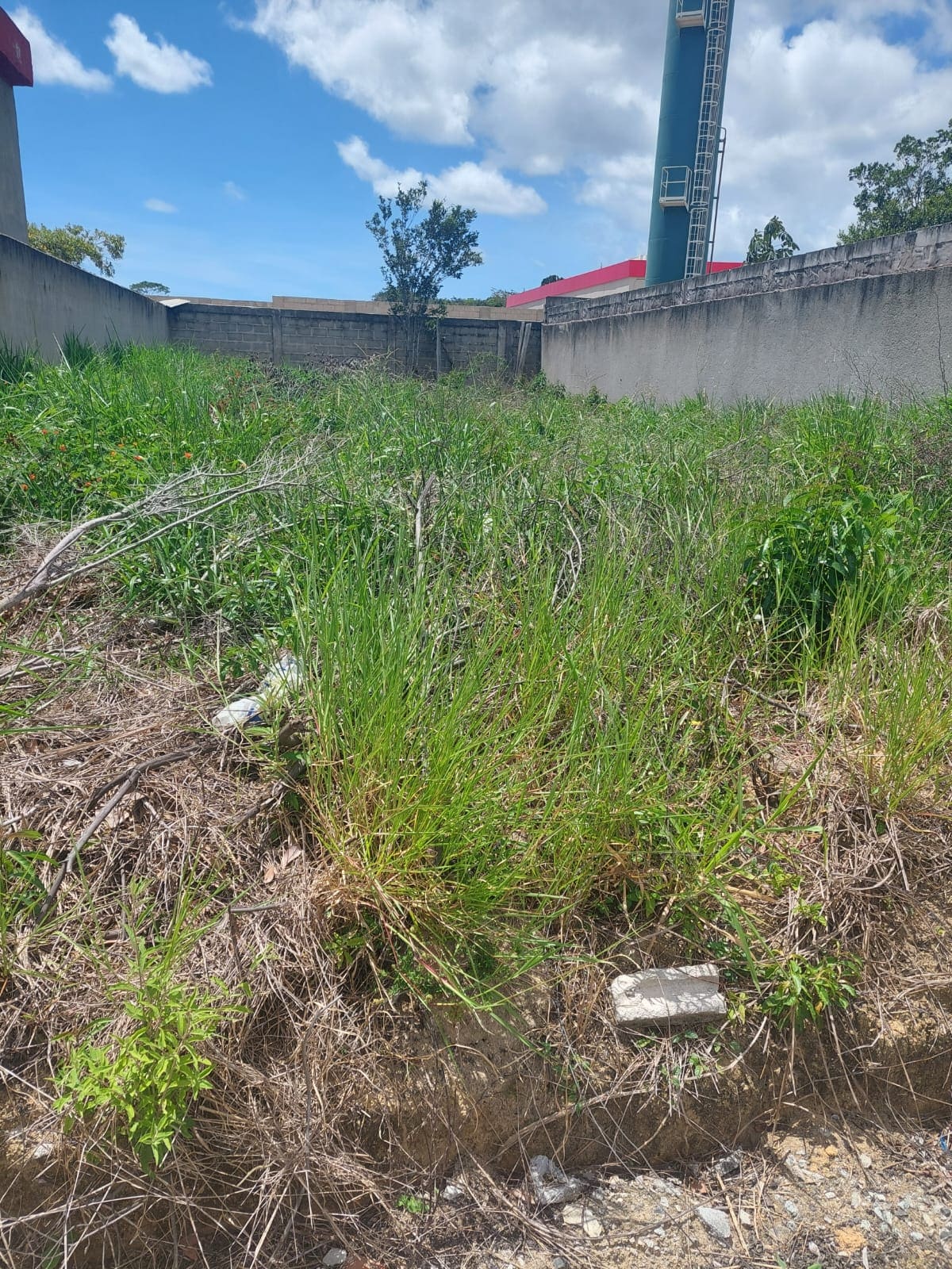 terreno