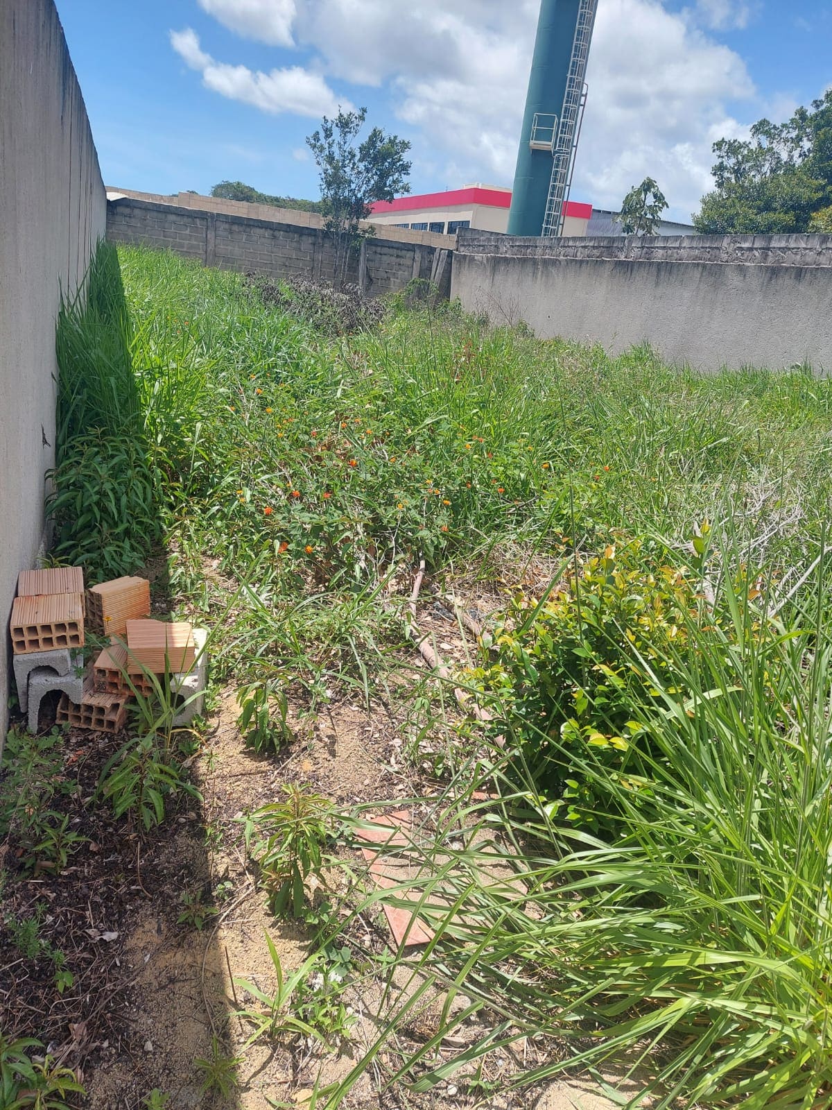 terreno1