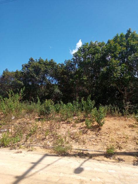 apartamento-br-367-2