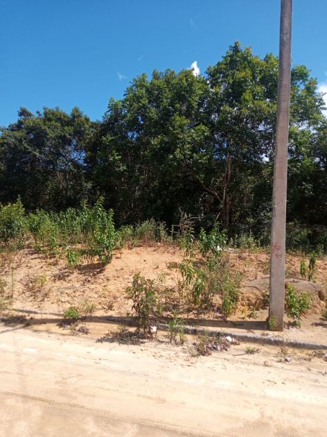 apartamento-br-367-5